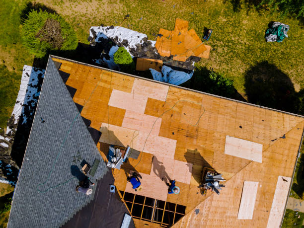 Best Slate Roofing Contractor  in Sidney, IL