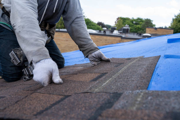Best Emergency Roof Repair  in Sidney, IL