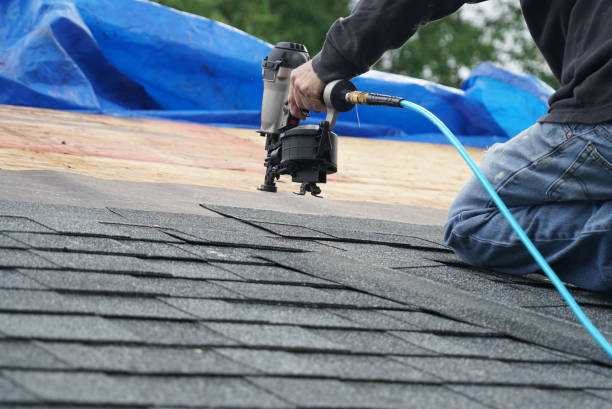 Best Flat Roof Repair Services  in Sidney, IL