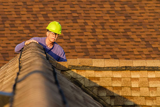 Roof Installation Near Me in Sidney, IL