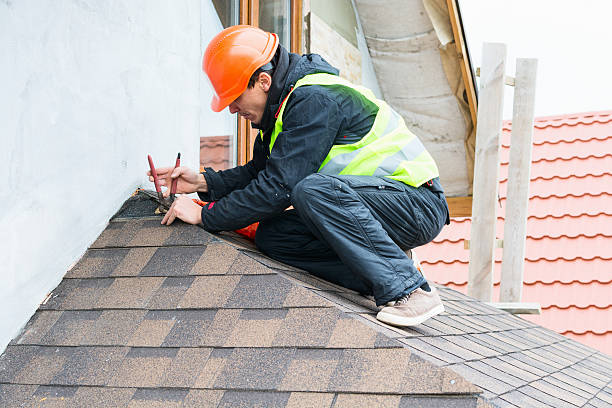 Best Roof Waterproofing Services  in Sidney, IL