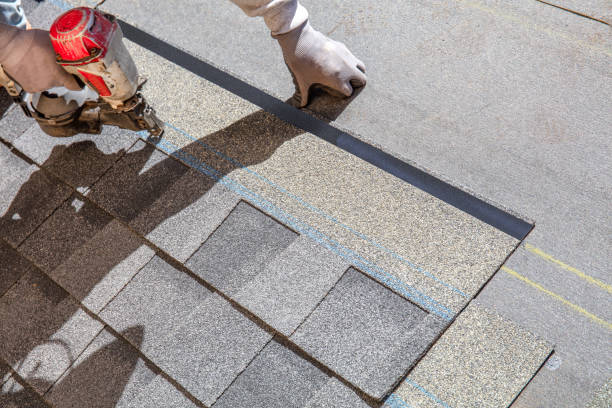 Best Roof Leak Repair  in Sidney, IL